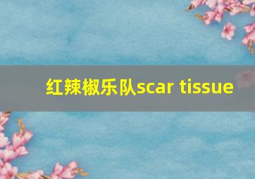 红辣椒乐队scar tissue